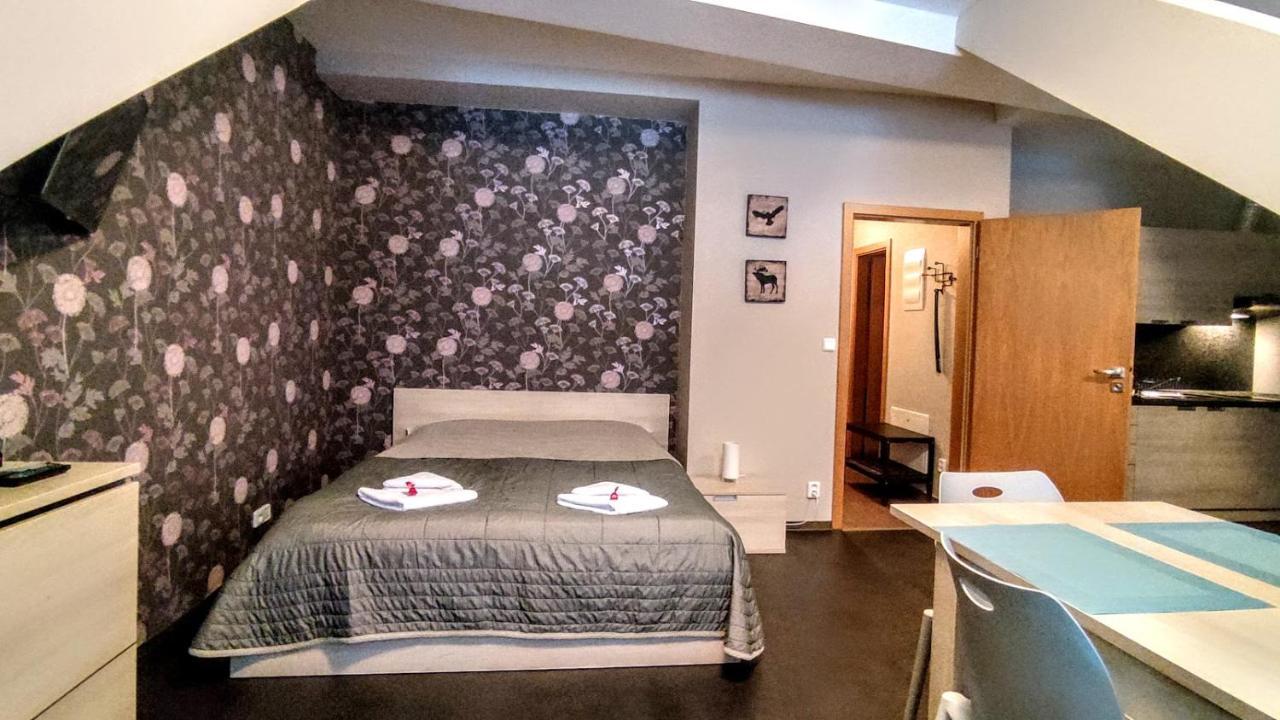 Horsky Apartman 1+Kk V Relaxacnim Prostredi Anenskeho Udoli Apartment Harrachov Luaran gambar