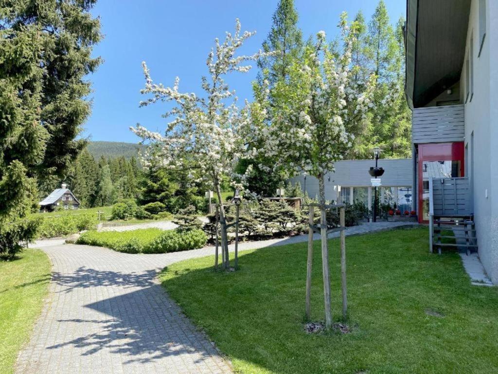 Horsky Apartman 1+Kk V Relaxacnim Prostredi Anenskeho Udoli Apartment Harrachov Luaran gambar